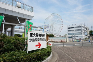 DSC05552.JPG
