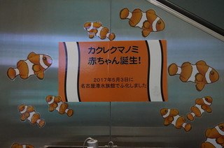 DSC05576.JPG